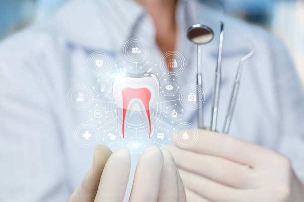 Why Choose Us for Your Dental Needs in Dortches, NC